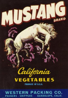 Mustang-LG.jpg