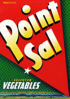 Point Sal-LG.jpg