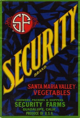 Security-LG.jpg