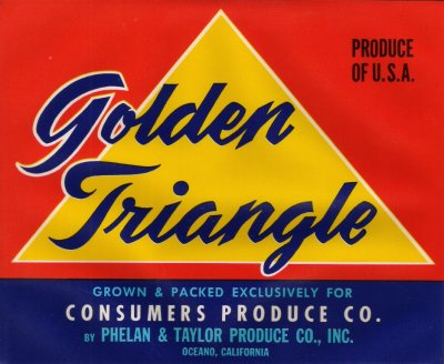 Golden Triangle.jpg