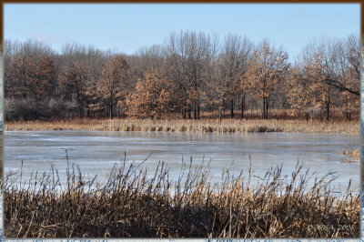 frozen pond