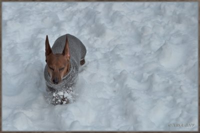 Max in a snow