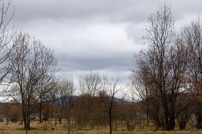 g1/69/576069/3/92968761.Lmdg62HT.jpg