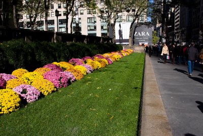 _MG_0834.jpg