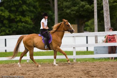 _MG_8811.jpg
