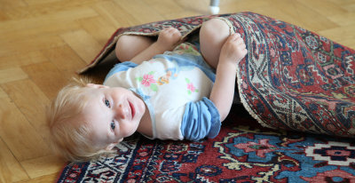 g1/69/582169/3/126653940.mB7x7keZ.jpg