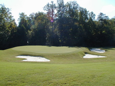 #8 Green New (From 9 Tee View)