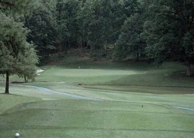 #16(Before Removal of Pond and Restoration of Stream)