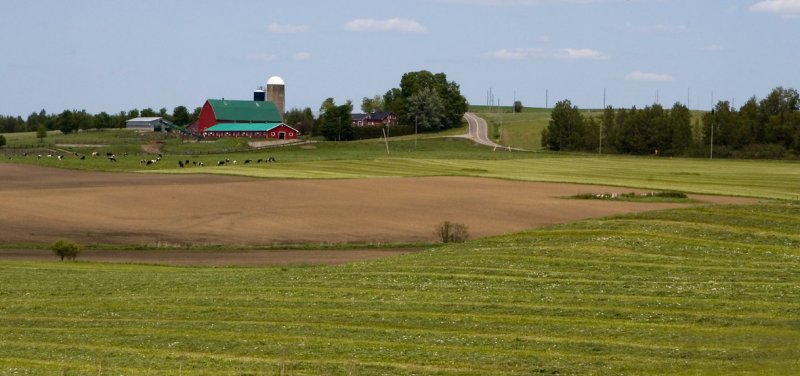 Ferme dans les Cantons de lEst