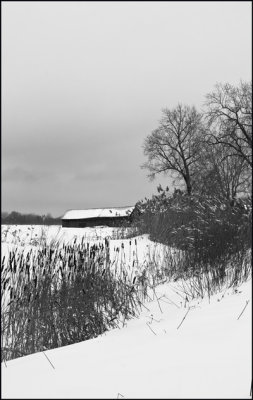 Paysage Hivernal_Winter Landscape