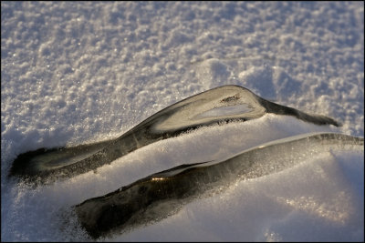 Forme de glace_Ice shape