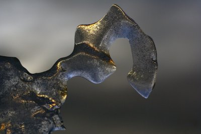 Sculpture de glace naturelle_Natural ice sculpture