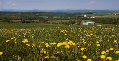 Paysage des Cantons de l'Est_Eastern Township landscape