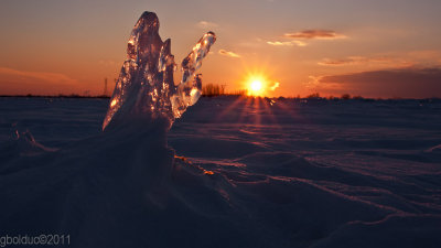 Sculpture naturelle_Natural ice carving