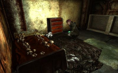 Bad Housekeeping