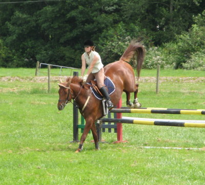 Horse back riding school