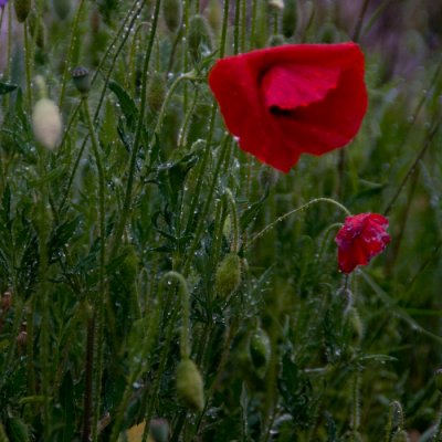 rainy day