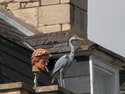 John Lennon and bird on the roof...