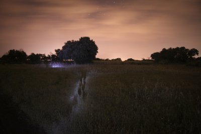 light painting