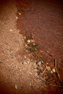 surrounded by red rocks