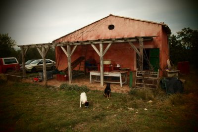 the cabin