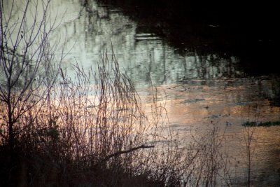 evening reflections