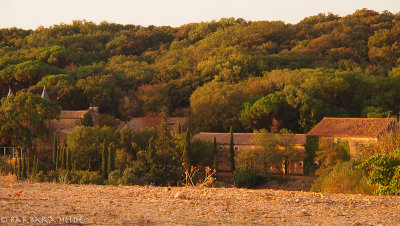 View on Domaine de Loubatires