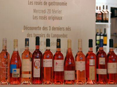 AOC  Rosé Languedoc Vinisud 2008