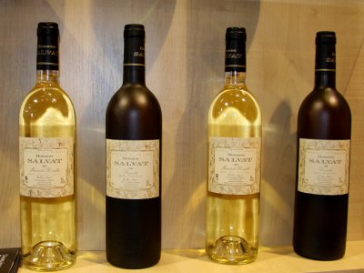 Domaine Salvat Vinisud 2008