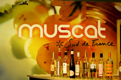 Muscat Sud de France Vinisud 2008