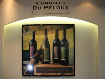 Vignobles Du Peloux Vinisud 2008