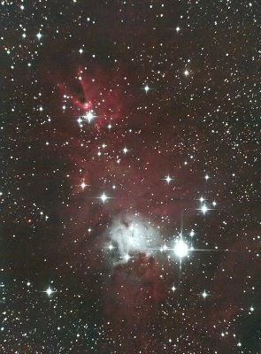 Cone Nebula and Christmas Tree Cluster