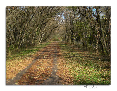 Hockhocking Adena Bikeway  (Nelsonville to Athens)