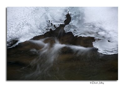 _DSC0384.jpg