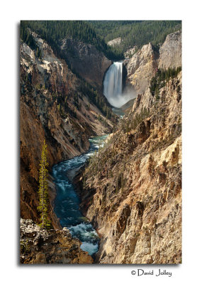 Lower Falls, Yellowstone River, From Artist's Point