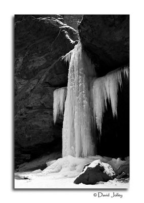 _DSC0736 bw.jpg
