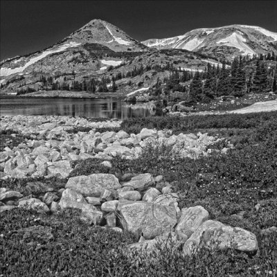 Medicine Bow