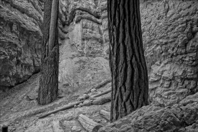 Base of  Bryce HooDoo