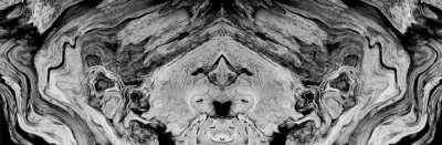 Wood Abstract
