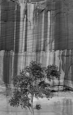 Canyon De Chelley