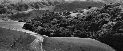 Northern California