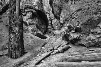 Base of  Bryce HooDoo