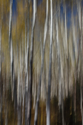 Aspen Abstract