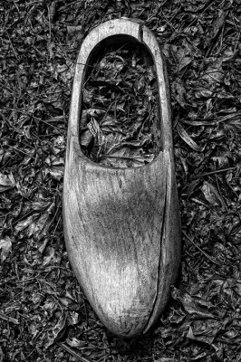 Wooden Shoe