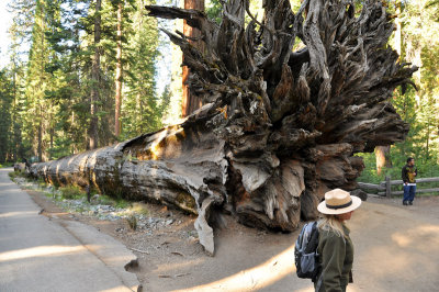 59_Yosemite.jpg