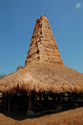 Sumba house