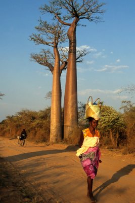 Morondava