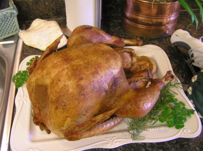 PICS NOVEMBER 3, 2008 076.jpg