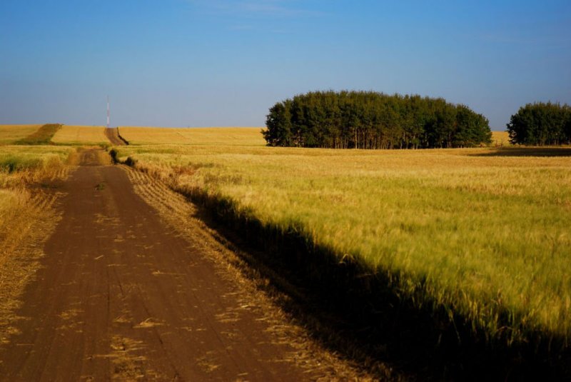 farm road