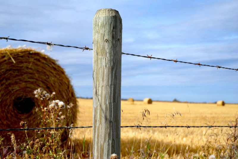 prairie fence